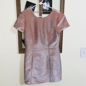 Express Low Back Shimmer Dress
